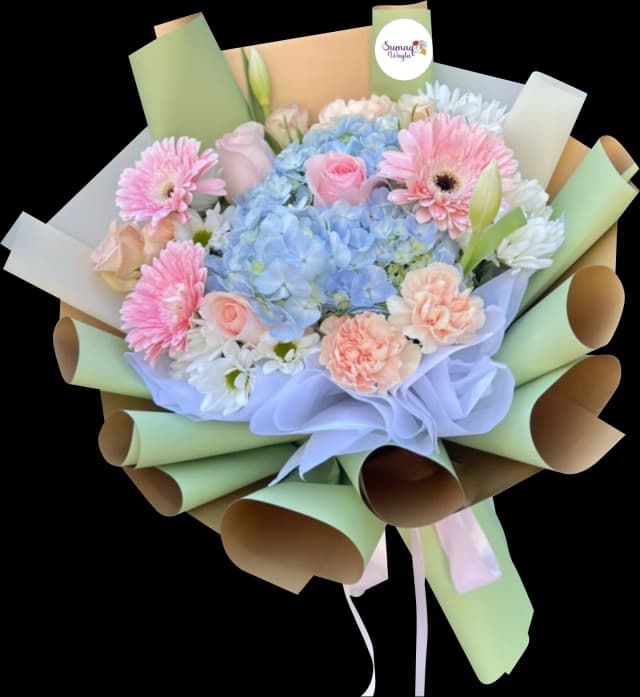 image Ramo 22