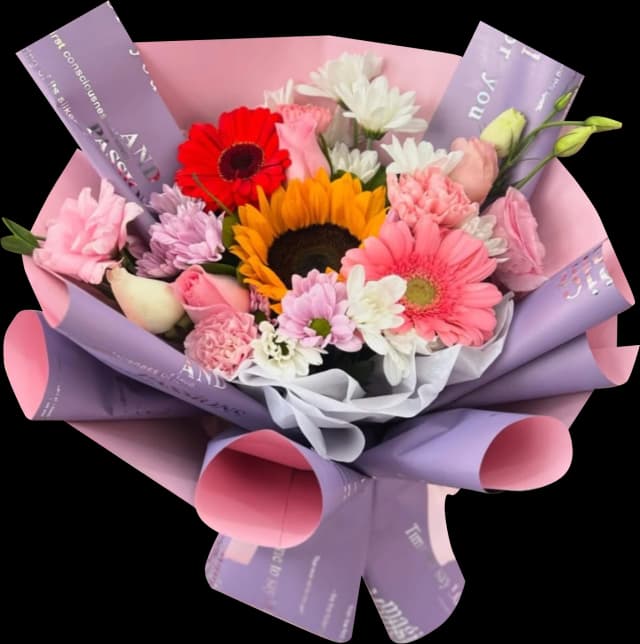 image Ramo 28