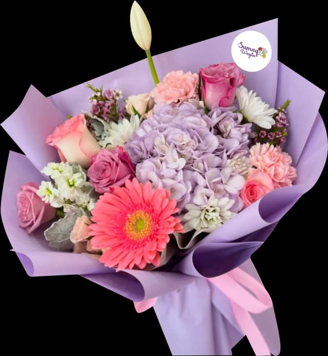 image Ramo 29