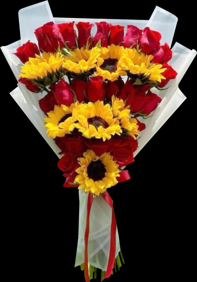 image Ramo 41