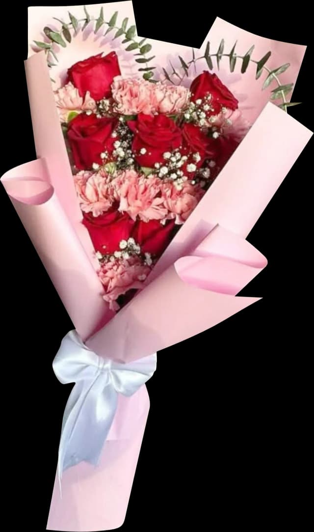 image Ramo 42