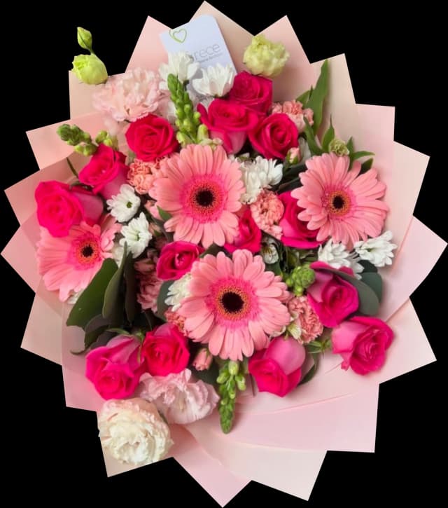 image Ramo 7
