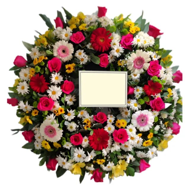 image Picaron 11