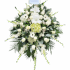 Lagrima 23